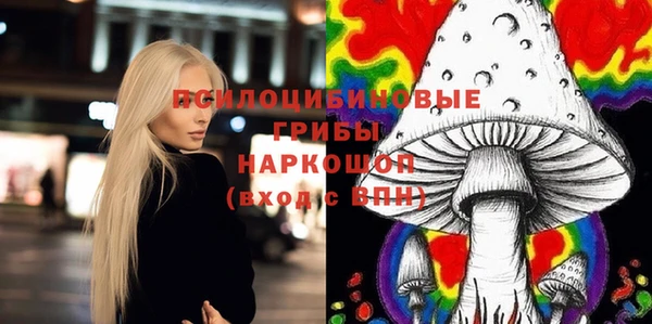 СК Пересвет