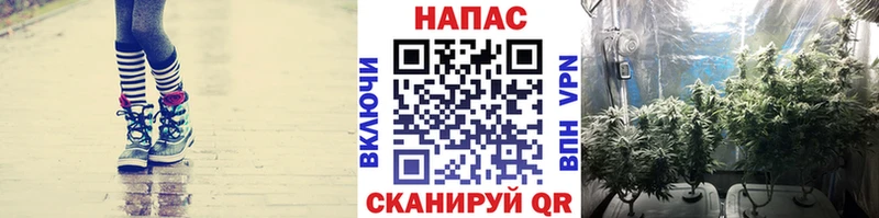 ОМГ ОМГ зеркало Облучье Конопля ГИДРОПОН